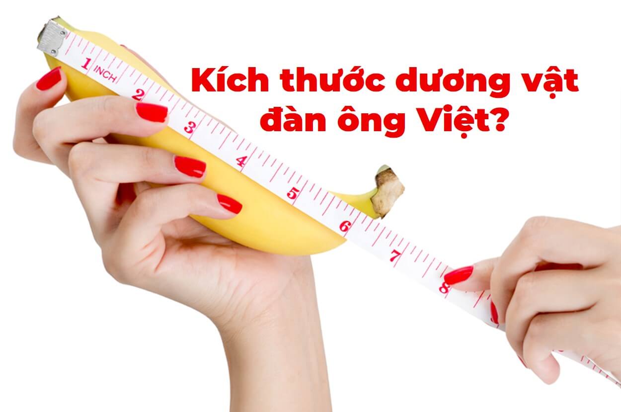 Chiều dài và đường kính dương vật người Việt là bao nhiêu?